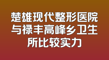 楚雄现代整形医院与禄丰高峰乡卫生所比较实力