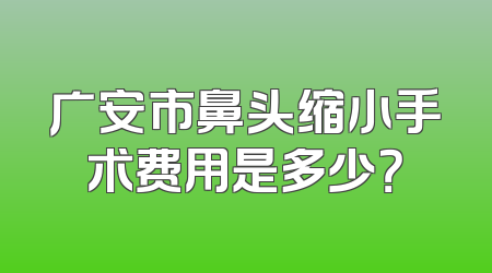 广安市鼻头缩小手术费用是多少？