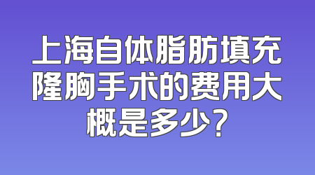 上海自体脂肪填充隆胸手术的费用大概是多少？