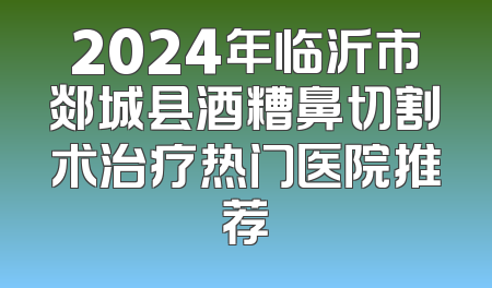 2024年临沂市郯城县酒糟鼻切割术治疗热门医院推荐
