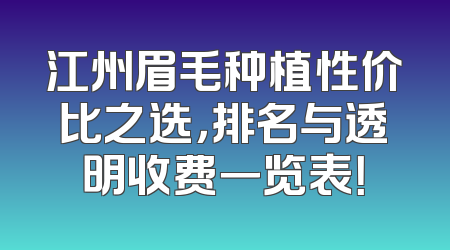 江州眉毛种植性价比之选，排名与透明收费一览表！