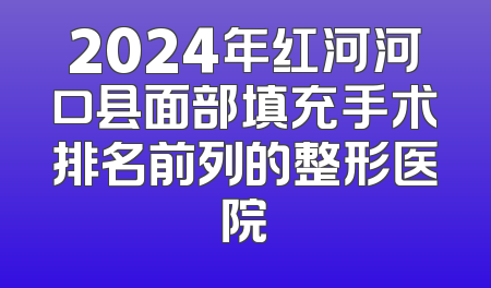 2024年红河河口县面部填充手术排名前列的整形医院