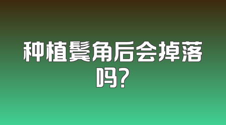 种植鬓角后会掉落吗？