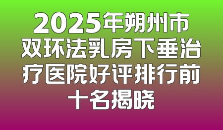 2025年朔州市双环法乳房下垂治疗医院好评排行前十名揭晓