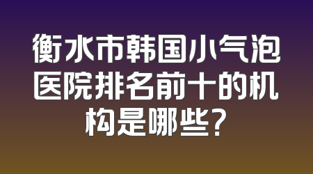 衡水市韩国小气泡医院排名前十的机构是哪些？