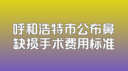 呼和浩特市公布鼻缺损手术费用标准
