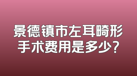 景德镇市左耳畸形手术费用是多少？