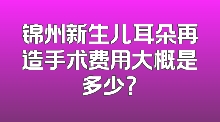 锦州新生儿耳朵再造手术费用大概是多少？