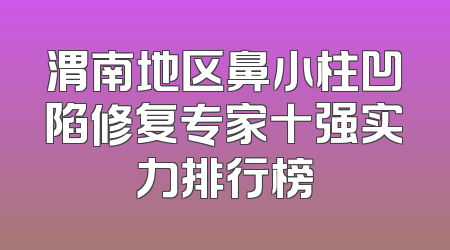 渭南地区鼻小柱凹陷修复专家十强实力排行榜