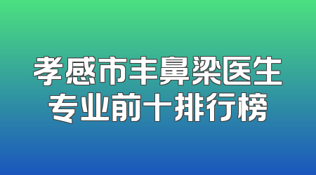孝感市丰鼻梁医生专业前十排行榜