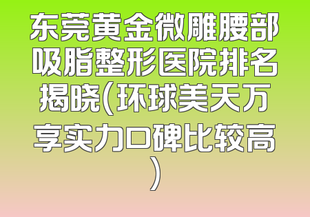 东莞黄金微雕腰部吸脂整形医院排名揭晓(环球美天万享实力口碑比较高)