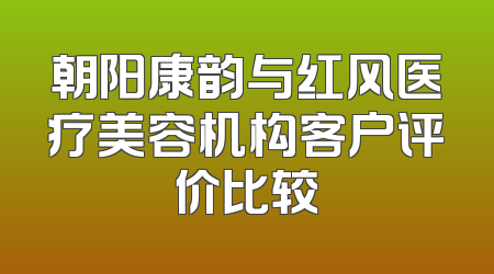 朝阳康韵与红风医疗美容机构客户评价比较