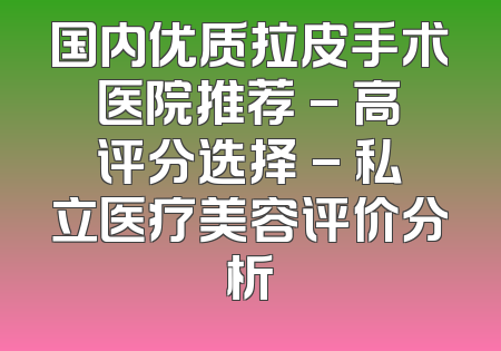 国内优质拉皮手术医院推荐 - 高评分选择 - 私立医疗美容评价分析