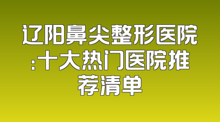 辽阳鼻尖整形医院：十大热门医院推荐清单