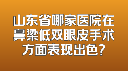山东省哪家医院在鼻梁低双眼皮手术方面表现出色？