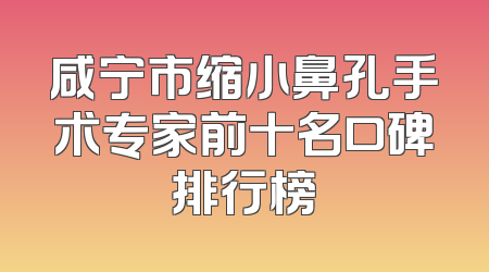 咸宁市缩小鼻孔手术专家前十名口碑排行榜