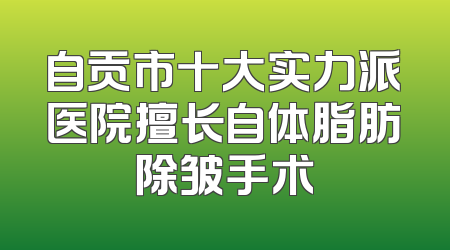 自贡市十大实力派医院擅长自体脂肪除皱手术