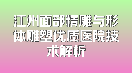江州面部精雕与形体雕塑优质医院技术解析