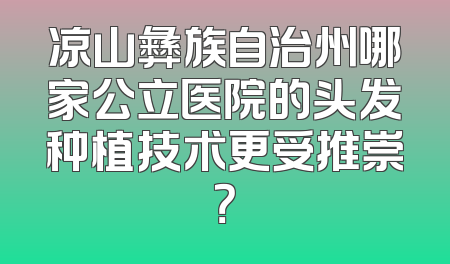 凉山彝族自治州哪家公立医院的头发种植技术更受推崇？