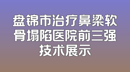 盘锦市治疗鼻梁软骨塌陷医院前三强技术展示