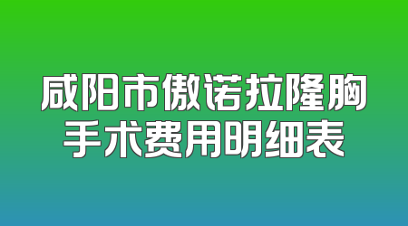 咸阳市傲诺拉隆胸手术费用明细表