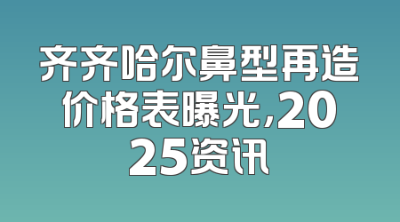 齐齐哈尔鼻型再造价格表曝光，2025资讯