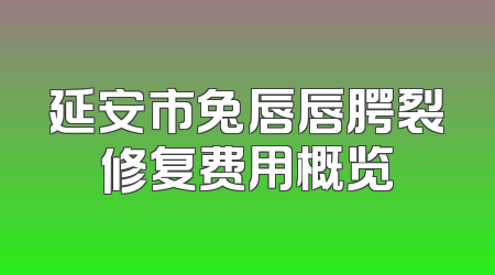 延安市兔唇唇腭裂修复费用概览