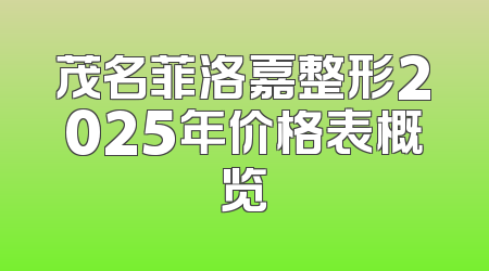 茂名菲洛嘉整形2025年价格表概览