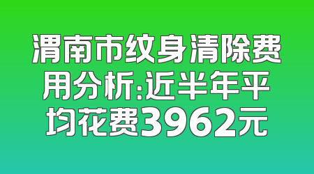 渭南市纹身清除费用分析：近半年平均花费3962元