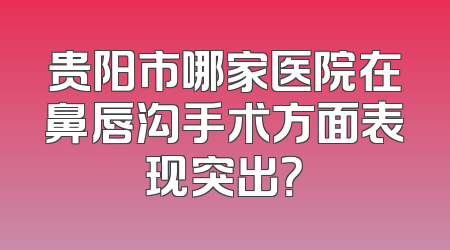 贵阳市哪家医院在鼻唇沟手术方面表现突出？