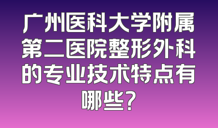 广州医科大学附属第二医院整形外科的专业技术特点有哪些？