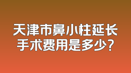 天津市鼻小柱延长手术费用是多少？