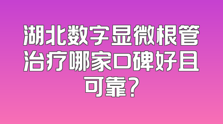 湖北数字显微根管治疗哪家口碑好且可靠？