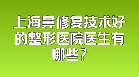 上海鼻修复技术好的整形医院医生有哪些？
