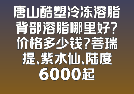 唐山酷塑冷冻溶脂背部溶脂哪里好？价格多少钱？菩瑞提、紫水仙、陆度6000起