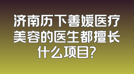 济南历下善媛医疗美容的医生都擅长什么项目？