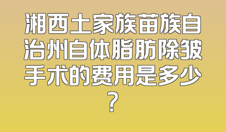 湘西土家族苗族自治州自体脂肪除皱手术的费用是多少？