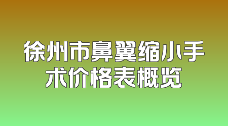 徐州市鼻翼缩小手术价格表概览