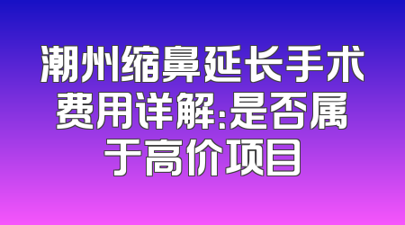 潮州缩鼻延长手术费用详解：是否属于高价项目