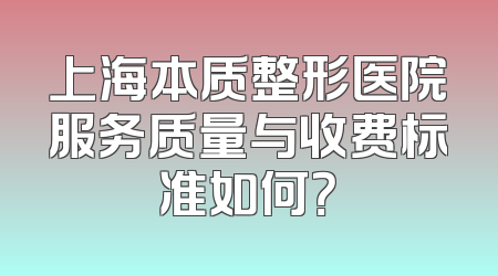 上海本质整形医院服务质量与收费标准如何？