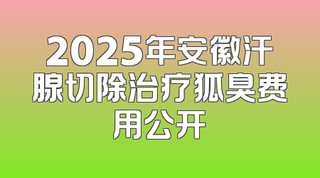 2025年安徽汗腺切除治疗狐臭费用公开
