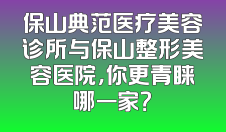 保山典范医疗美容诊所与保山整形美容医院，你更青睐哪一家？