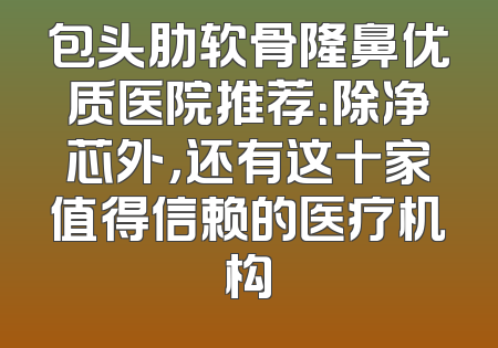 包头肋软骨隆鼻优质医院推荐：除净芯外，还有这十家值得信赖的医疗机构