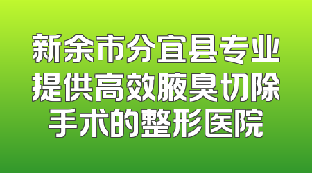 新余市分宜县专业提供高效腋臭切除手术的整形医院