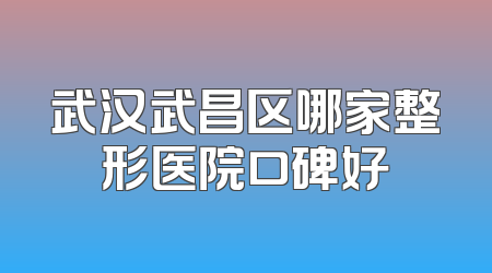 武汉武昌区哪家整形医院口碑好