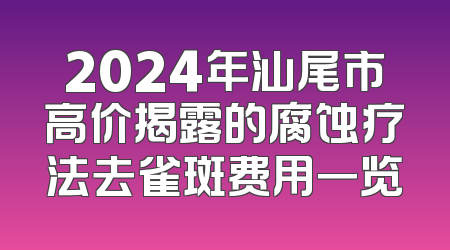 2024年汕尾市高价揭露的腐蚀疗法去雀斑费用一览