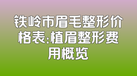 铁岭市眉毛整形价格表：植眉整形费用概览