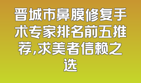 晋城市鼻膜修复手术专家排名前五推荐，求美者信赖之选
