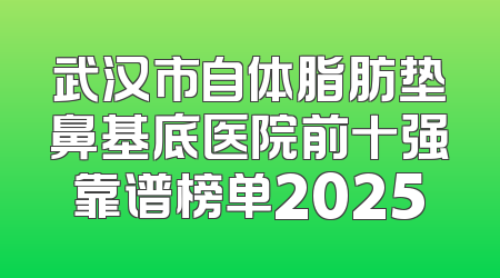 武汉市自体脂肪垫鼻基底医院前十强靠谱榜单2025