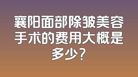 襄阳面部除皱美容手术的费用大概是多少？